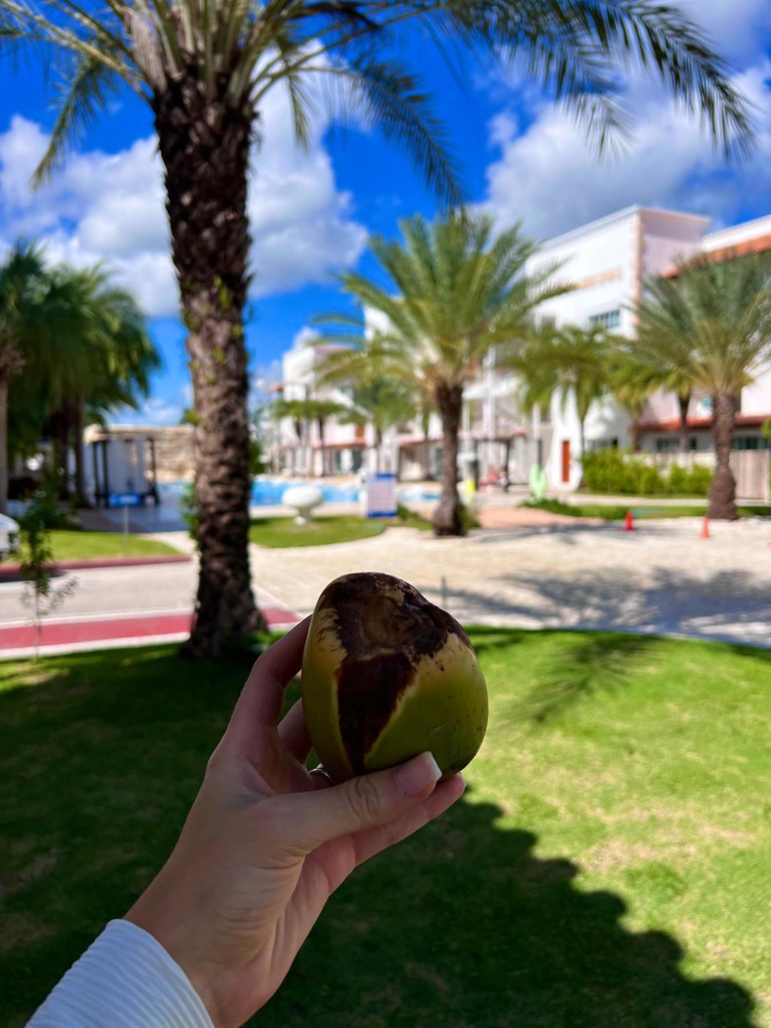 Tanama Hotel Punta Cana Extérieur photo